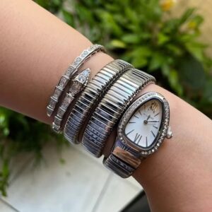 elegant silver tone luxury watch